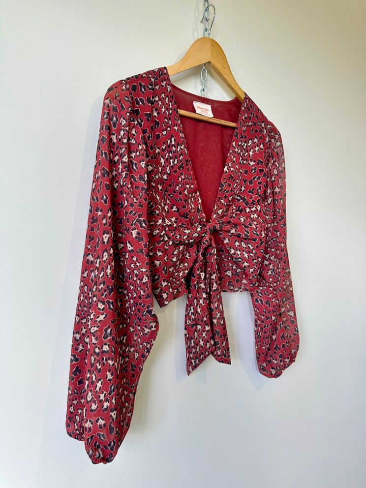 Showpo Tie Cropped Top