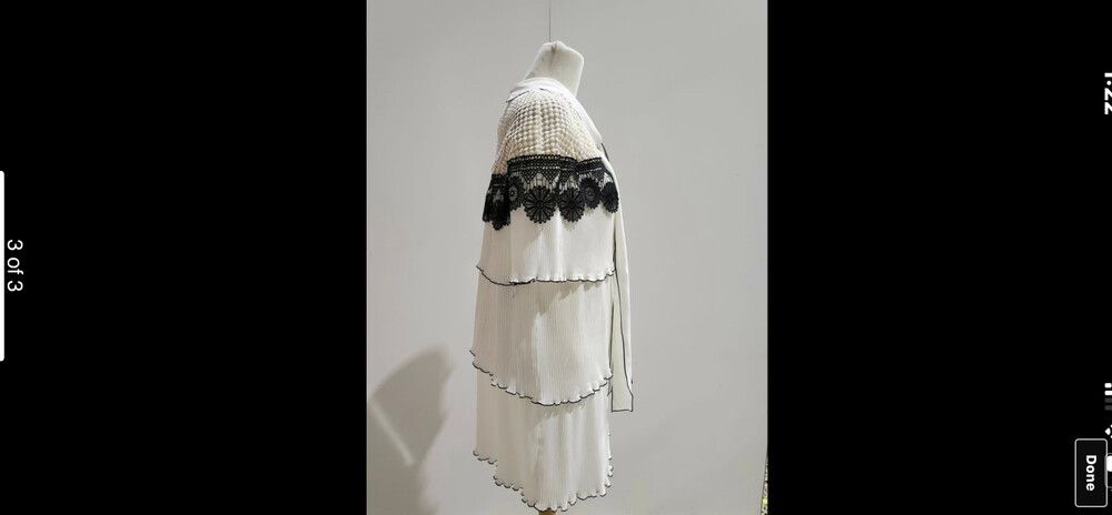 Selph Portrait Monochrome pleated Dress