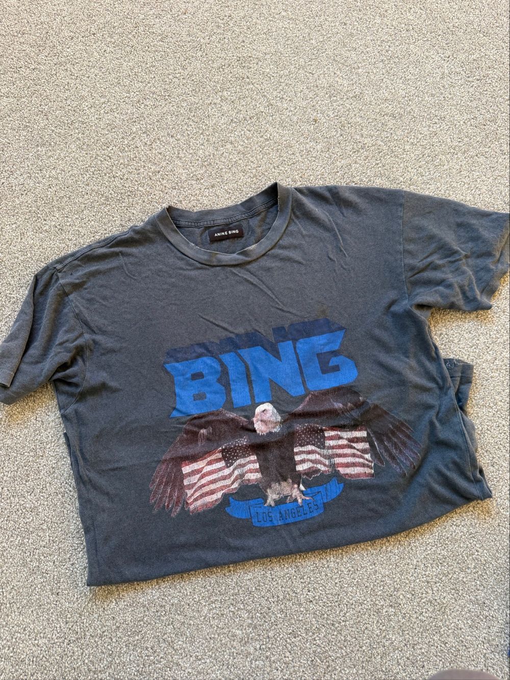 Anine Bing Grey Eagle Graphic T-Shirt