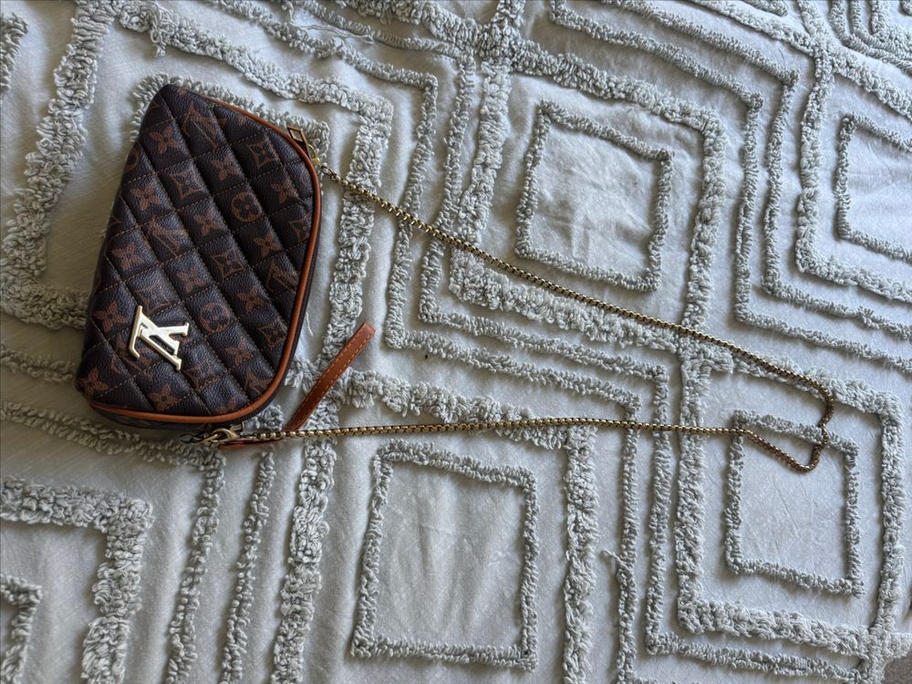 Fake LV bag