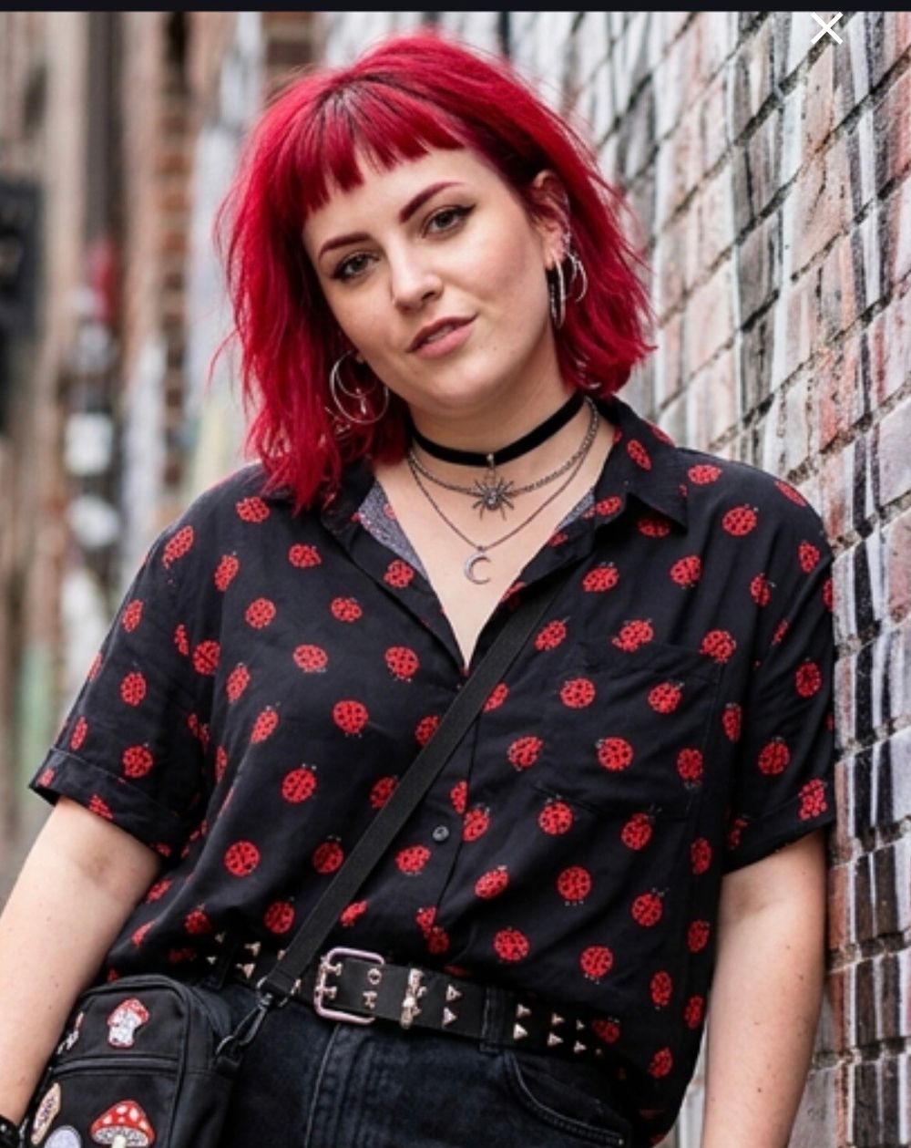 Dangerfield Ladybird Button-Up Shirt size XL (12-14) 🐞