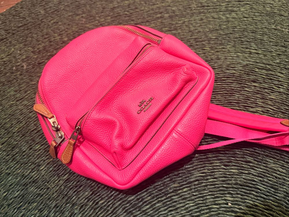 Coach x Keith Haring Mini Backpack