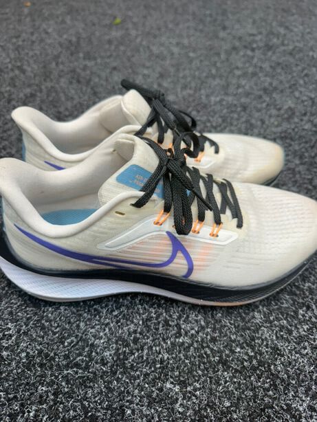 Nike Pegasus Zoom 39
