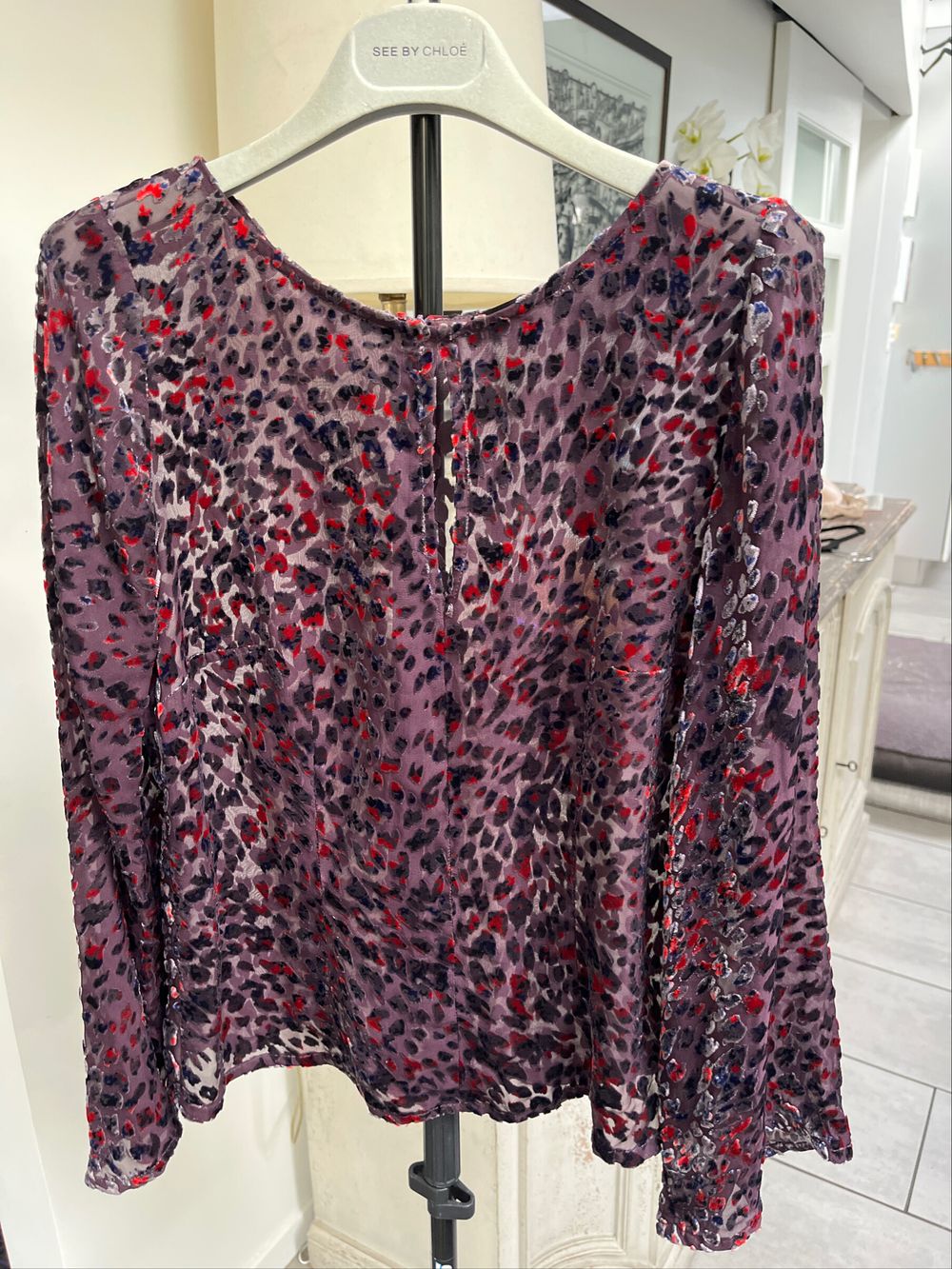 Helen Cherry Velvet Sheer Top With Wide Sleeves