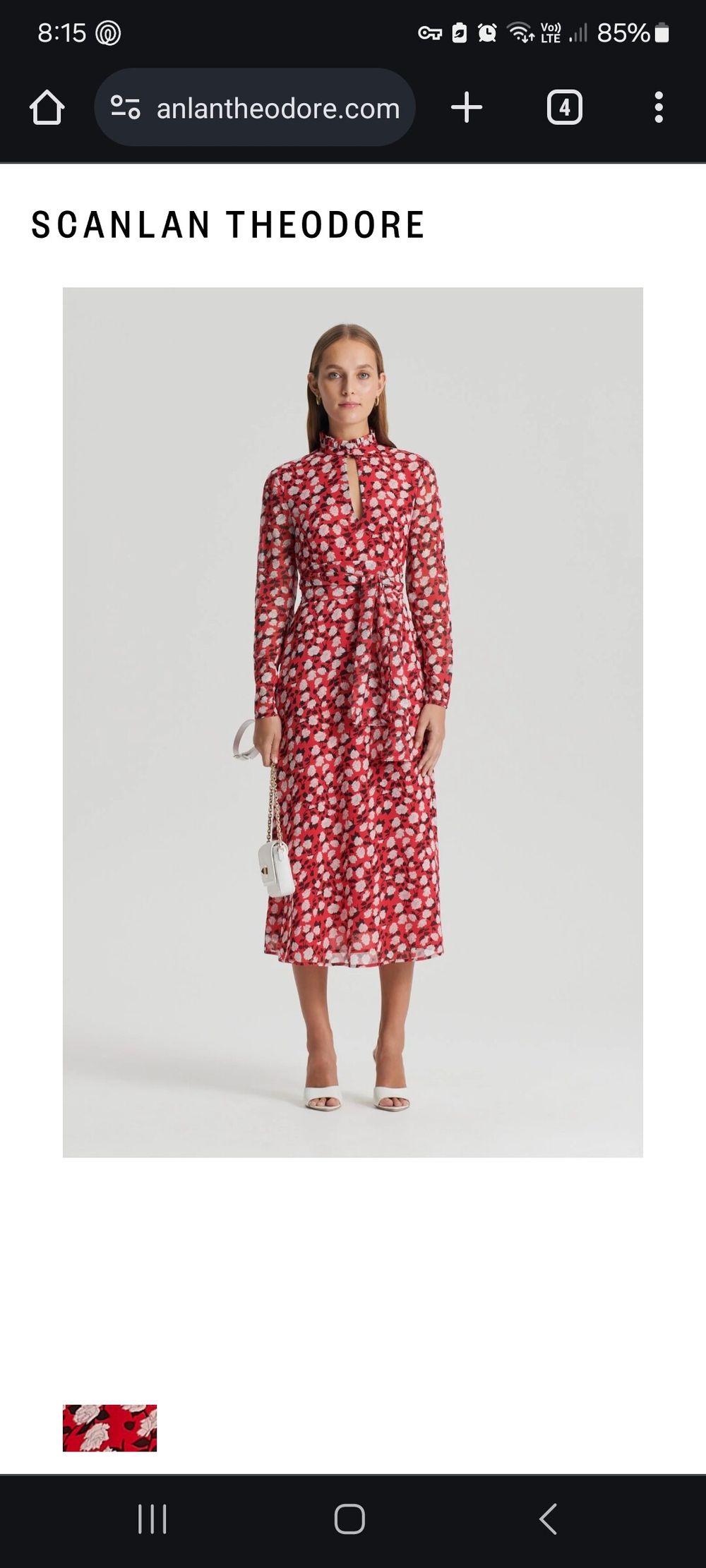 Silk Georgette Rose Print Dress