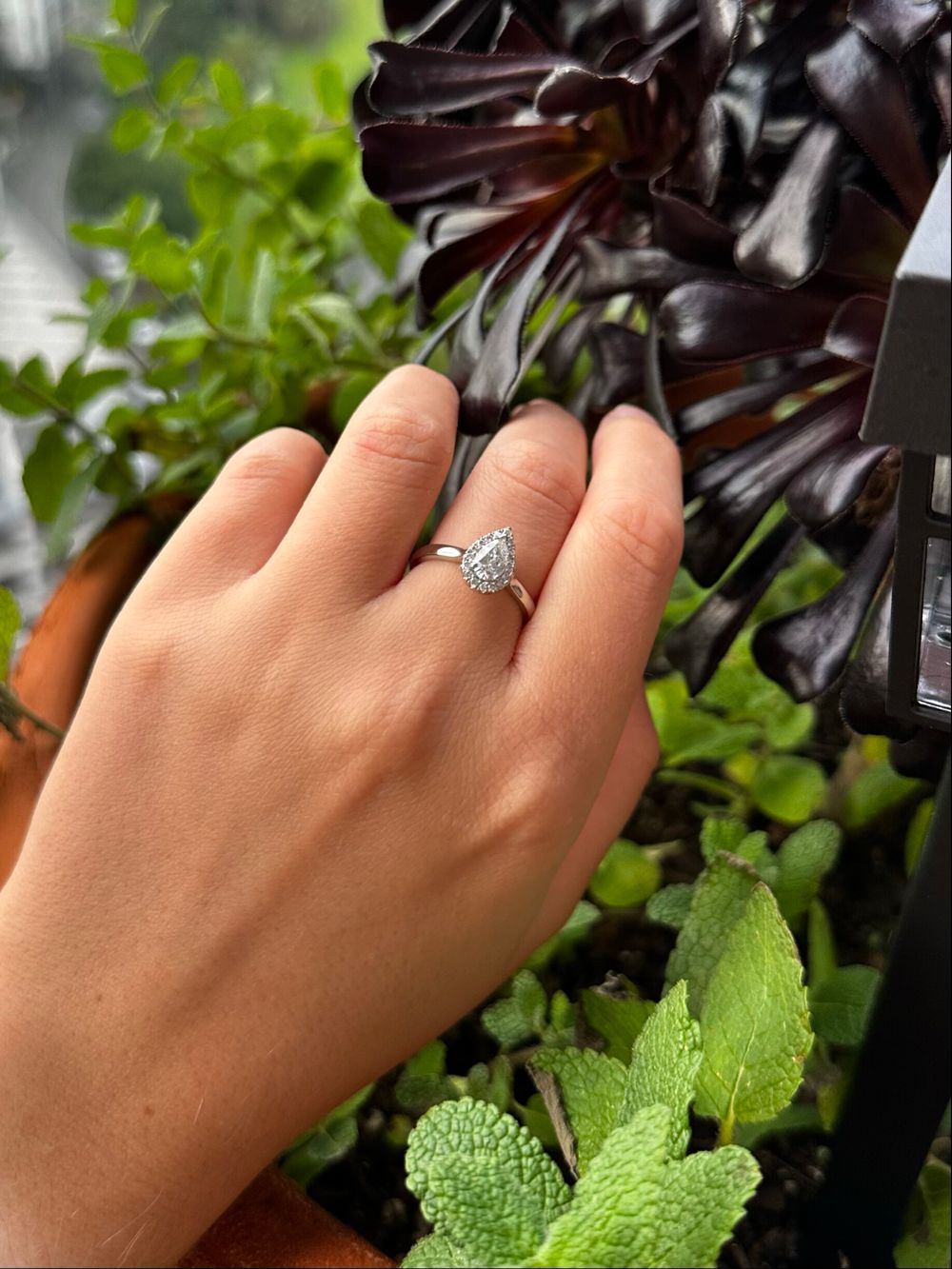 Natural Diamond Halo Ring by Carats