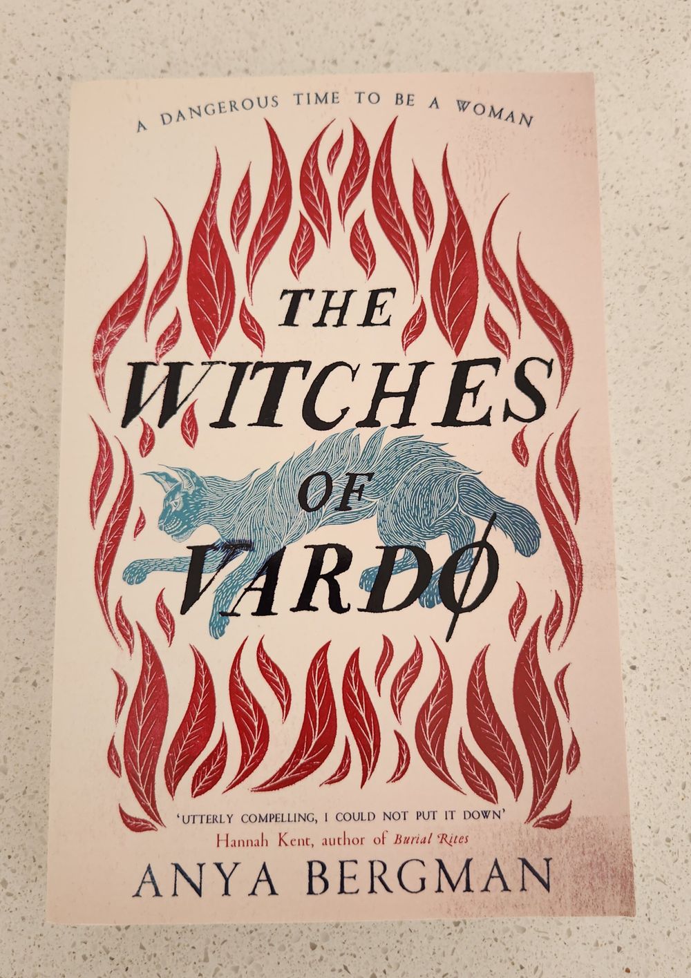 The Witches of Vardo by Anya Bergman
