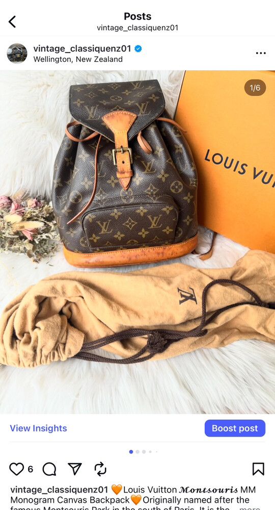 Authentic Louis Vuitton Monogram Canvas Montsouris MM Backpack