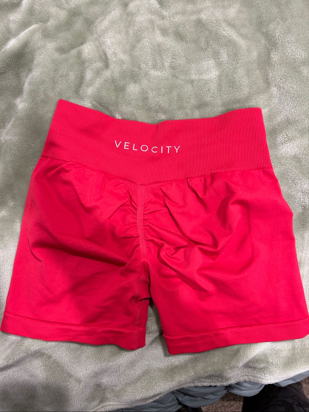 Velocity Red Shorts