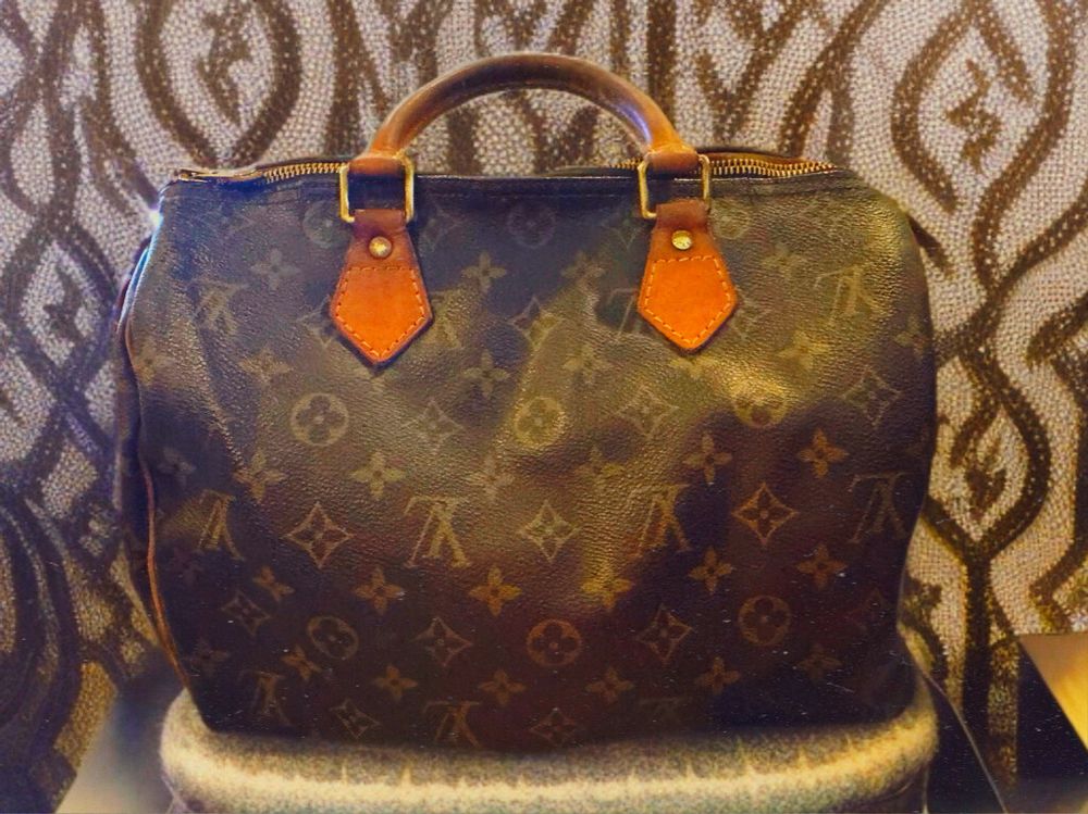 Louis Vuitton Speedy (Monogram Canvas) handbag