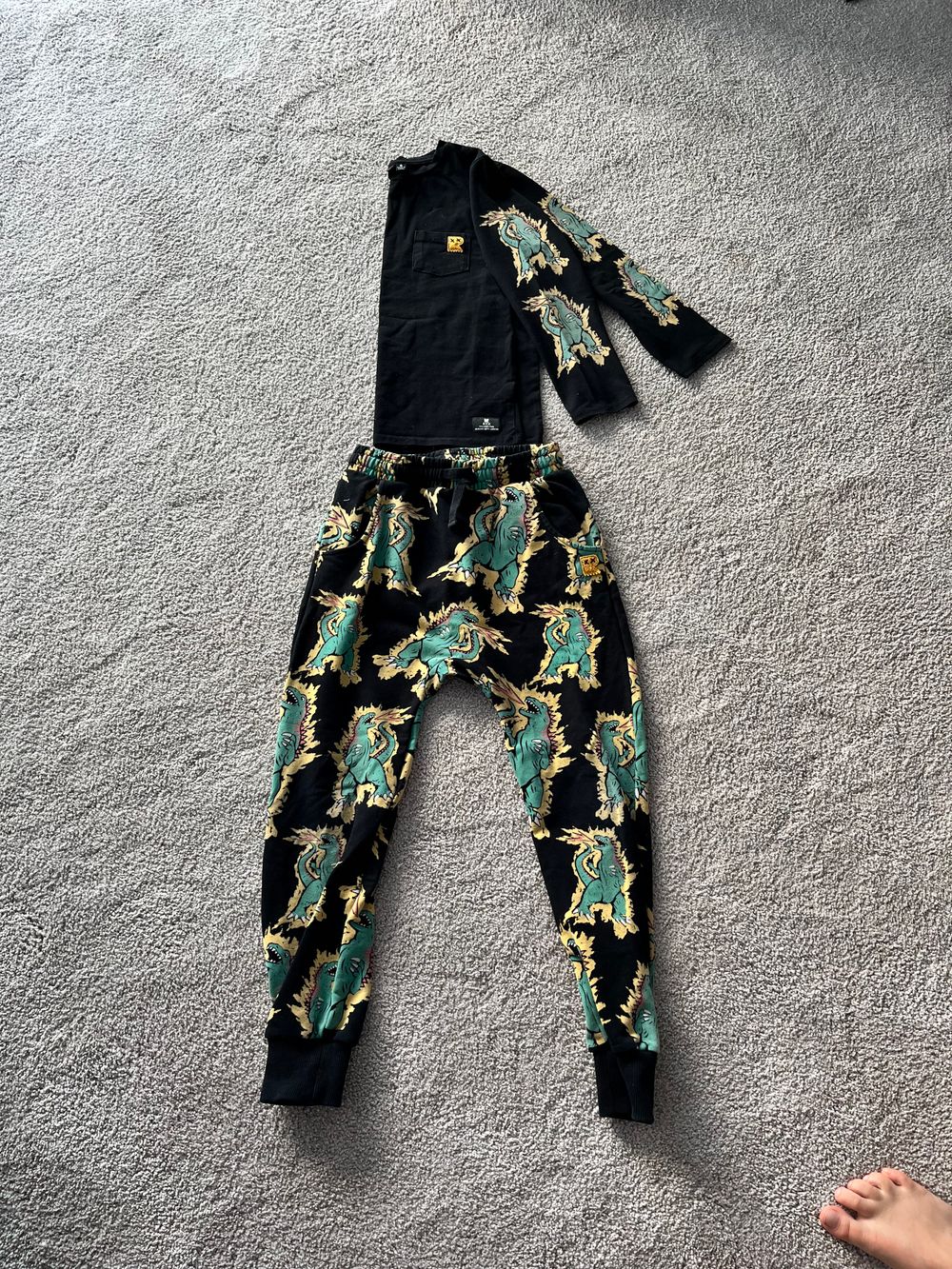 Dino pants and top