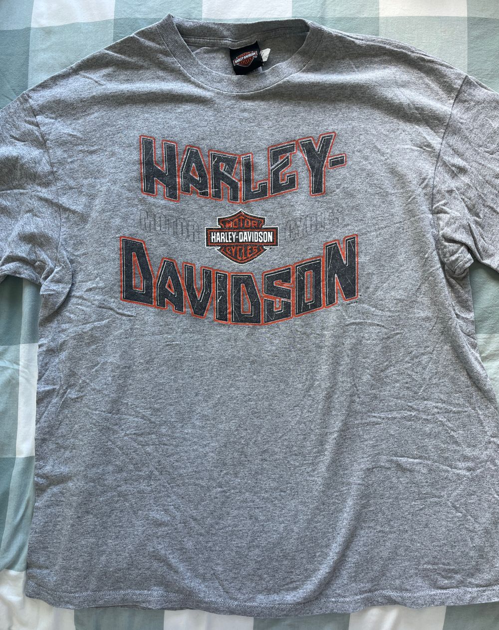 Harley-Davidson Grey Graphic T-Shirt