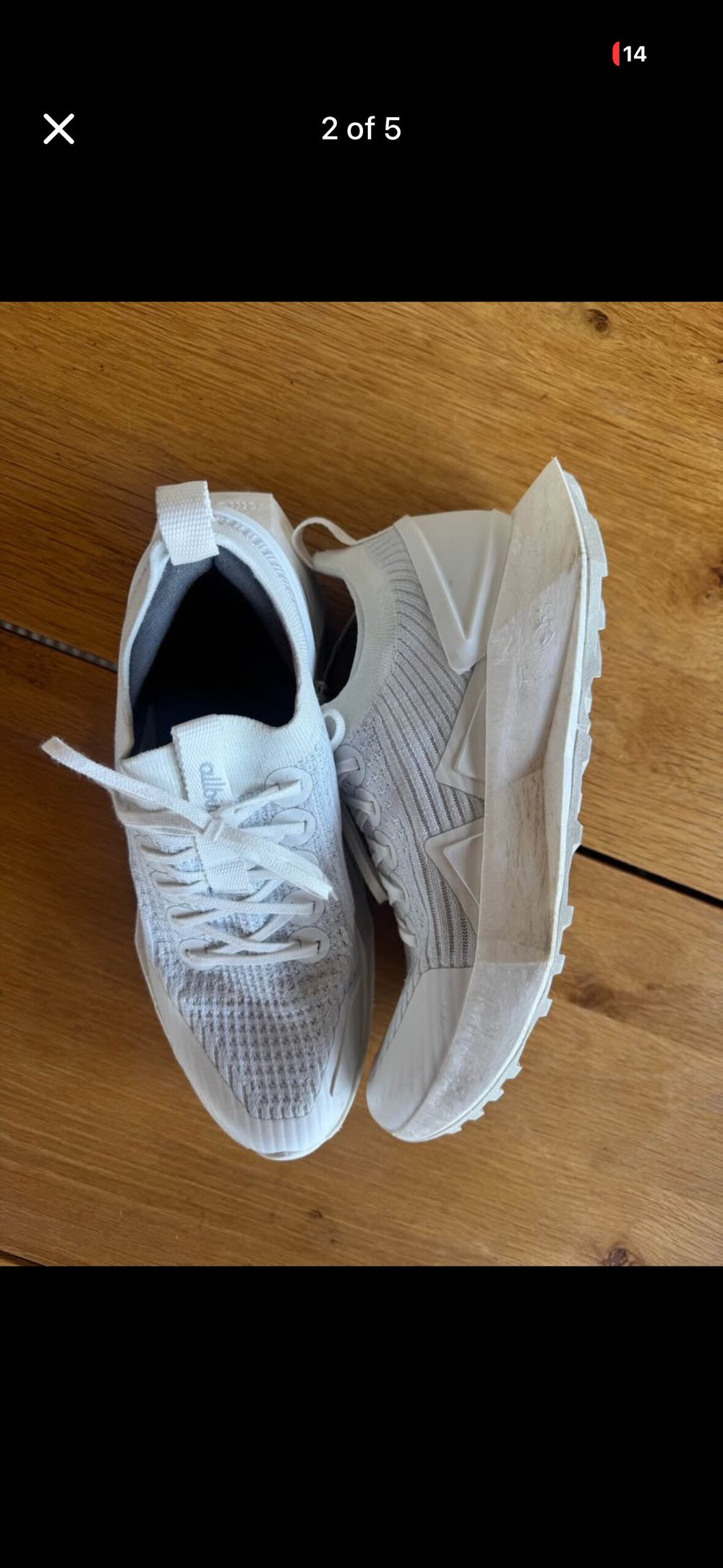 white all bird sneakers