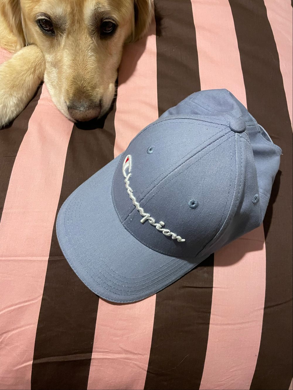 Champion Blue Baseball Cap