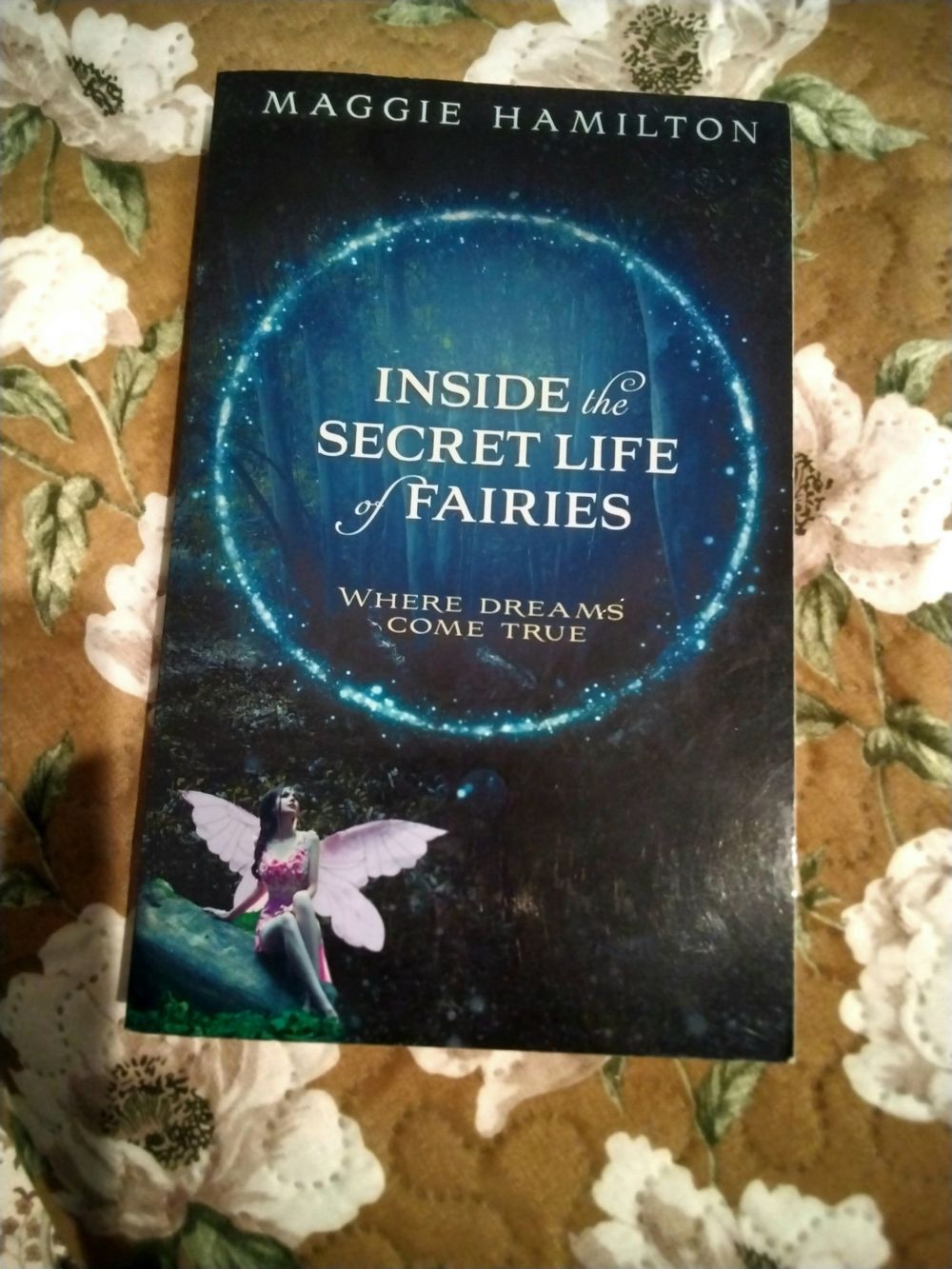 Inside the secret life of fairies by Maggie Hamilton