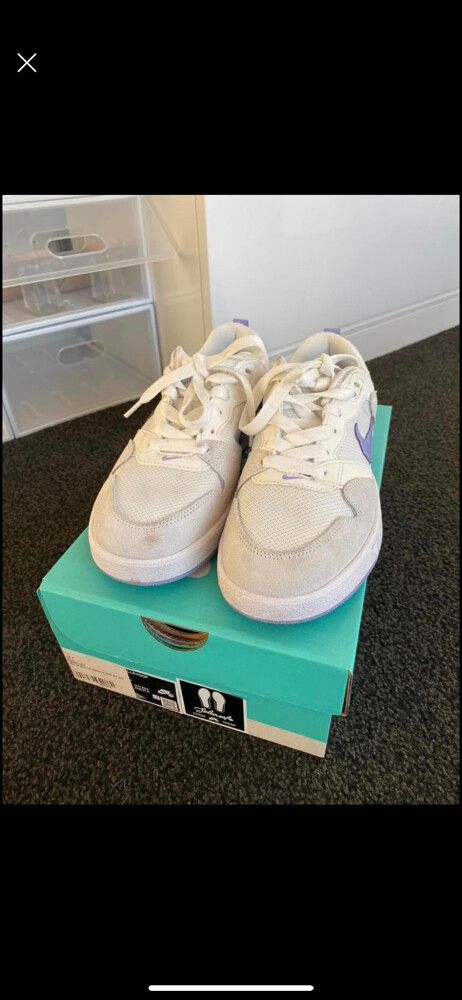 nike sb alleyoop trainers