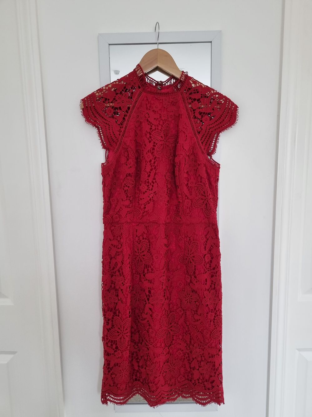 fitted lace wedding dress Plus Size Bardot Premium Lace Dip Hem Dress in Red