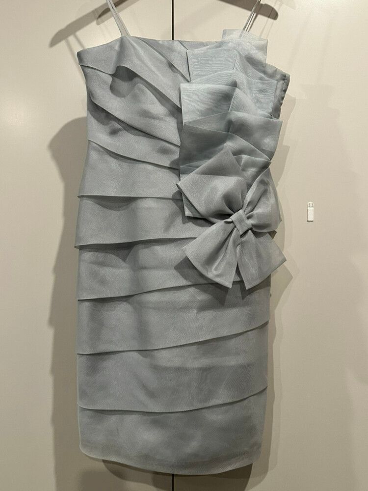 Silver Evening Dress Set (2 Piece)