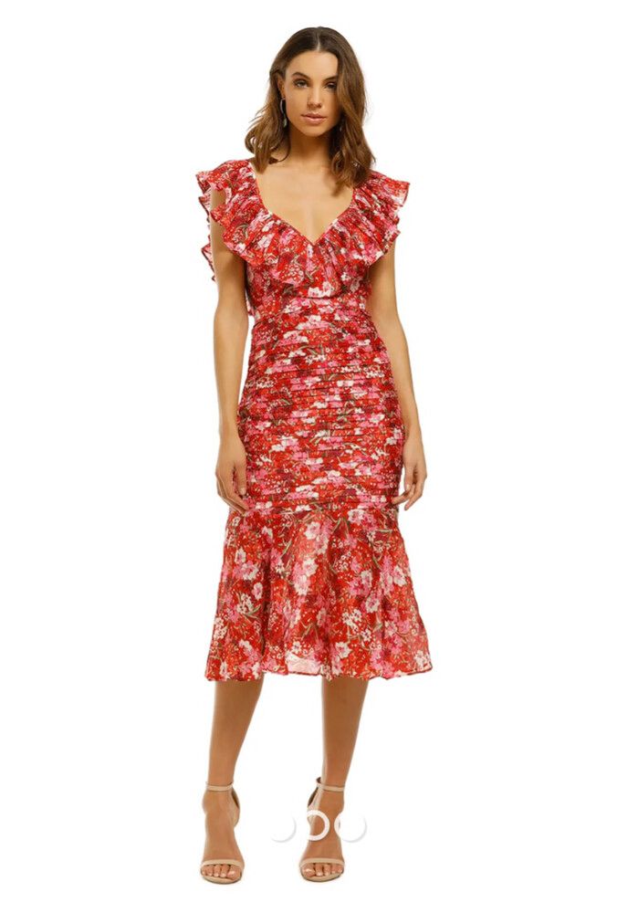 alexis midi dress x Unique Vintage Teal Raccoon Print Alexis Swing Dress