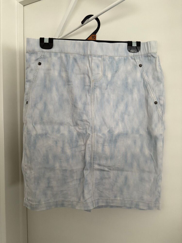Blue and White Mini Skirt