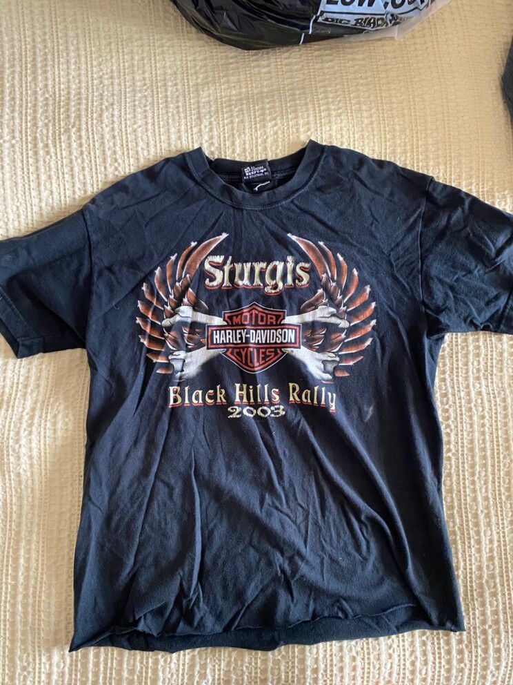 Vintage Harley Davidson Tee / T-shirt