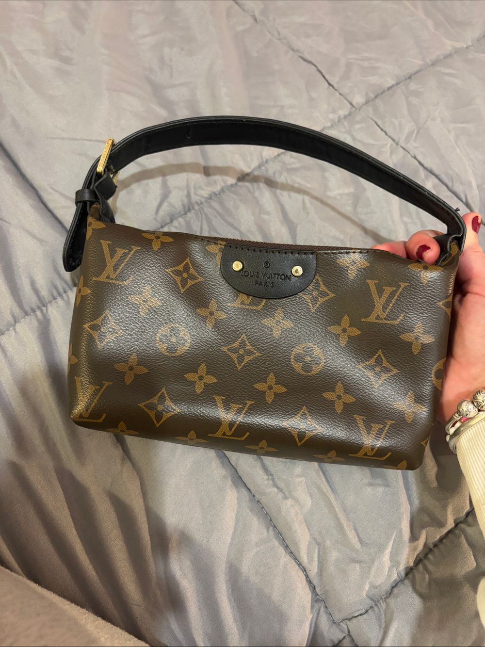 Louis Vuitton Pochette Hills