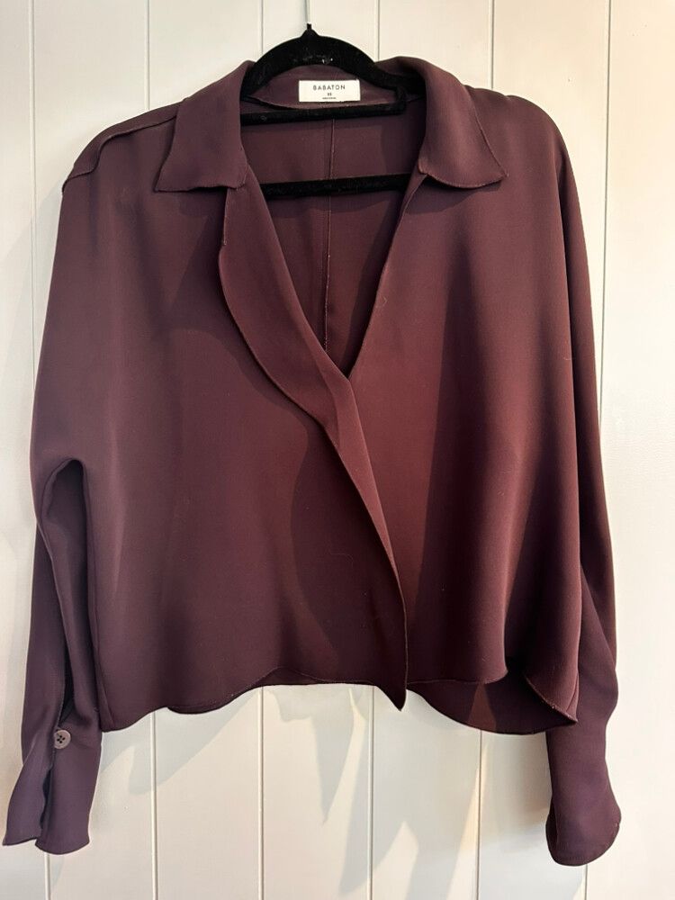 Aritzia Babaton Purple Top