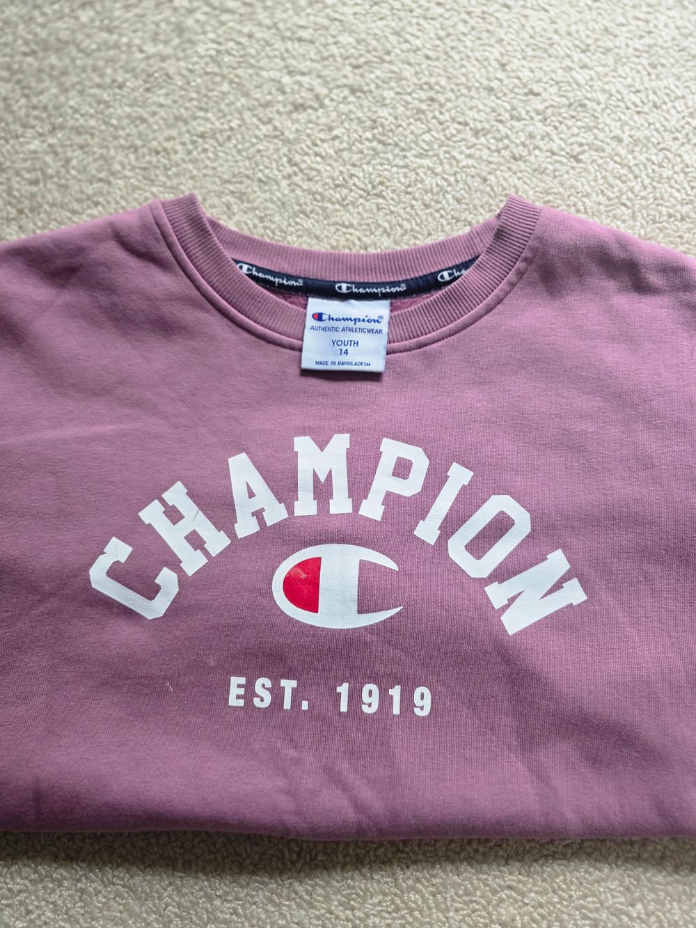 Champion Dusty Pink Jumper