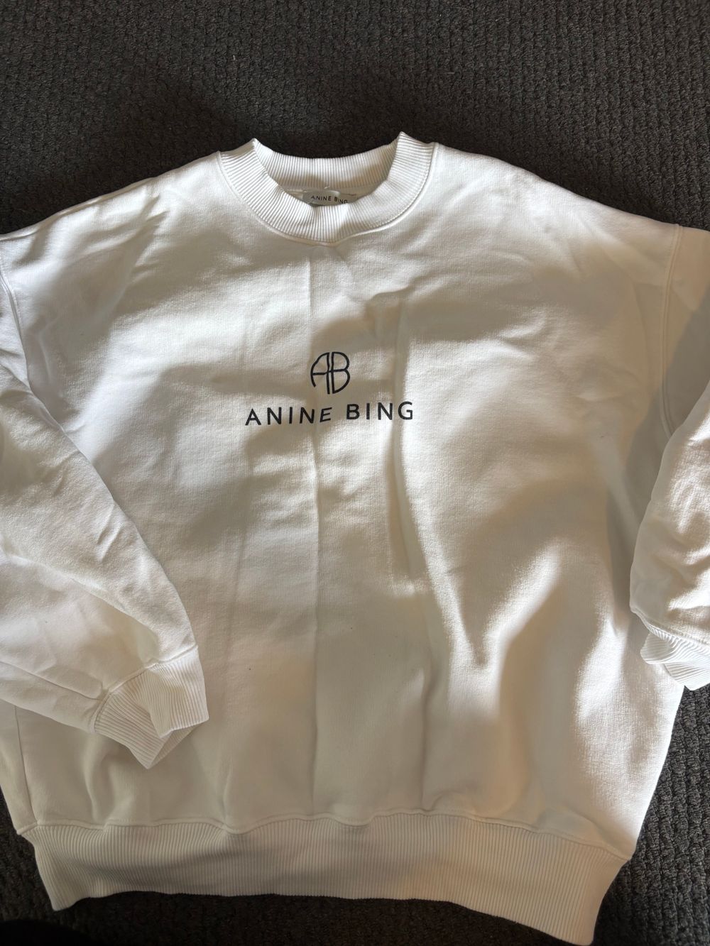 Anine Bing sweatshirt