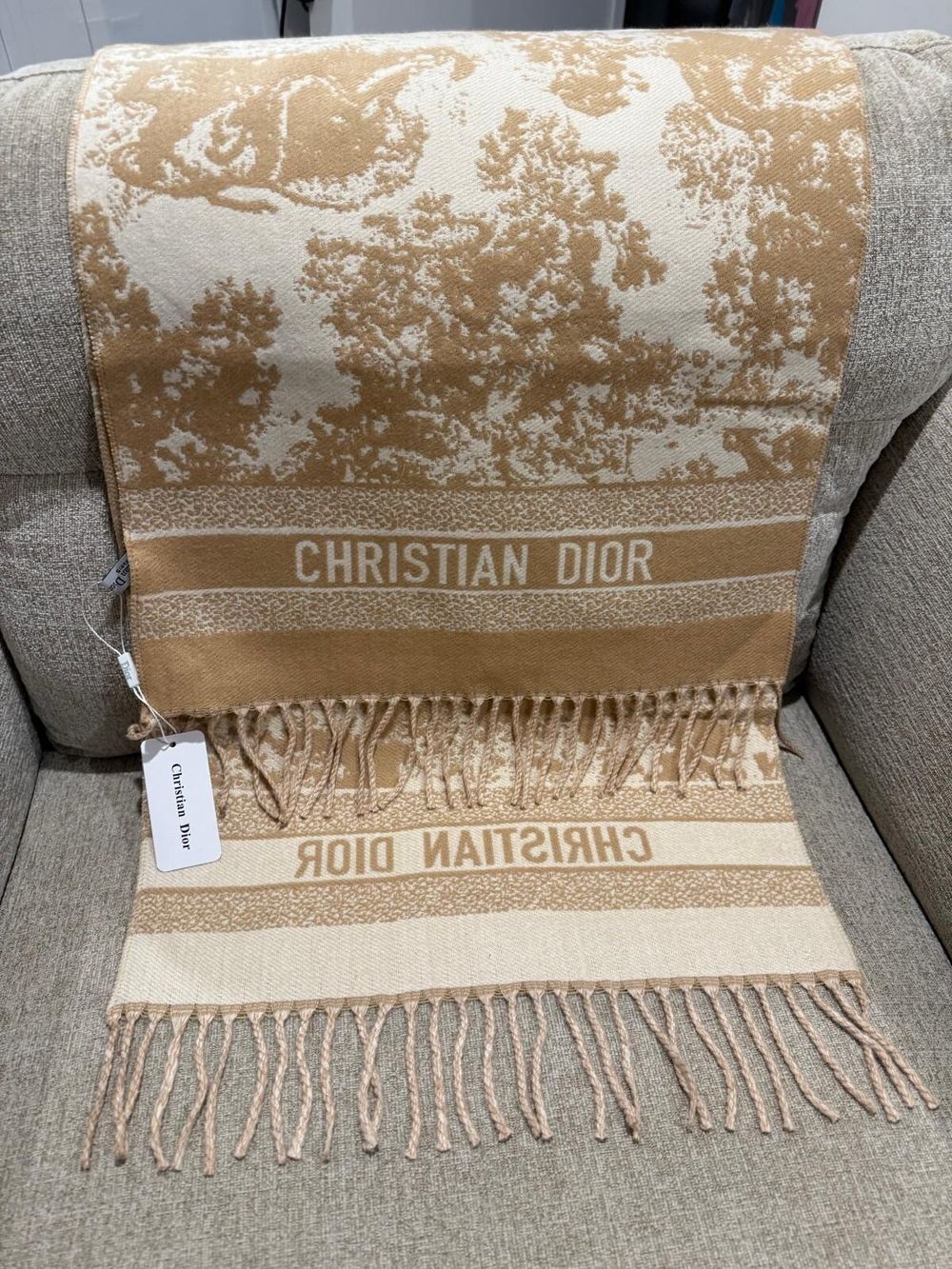 Dior Scarf