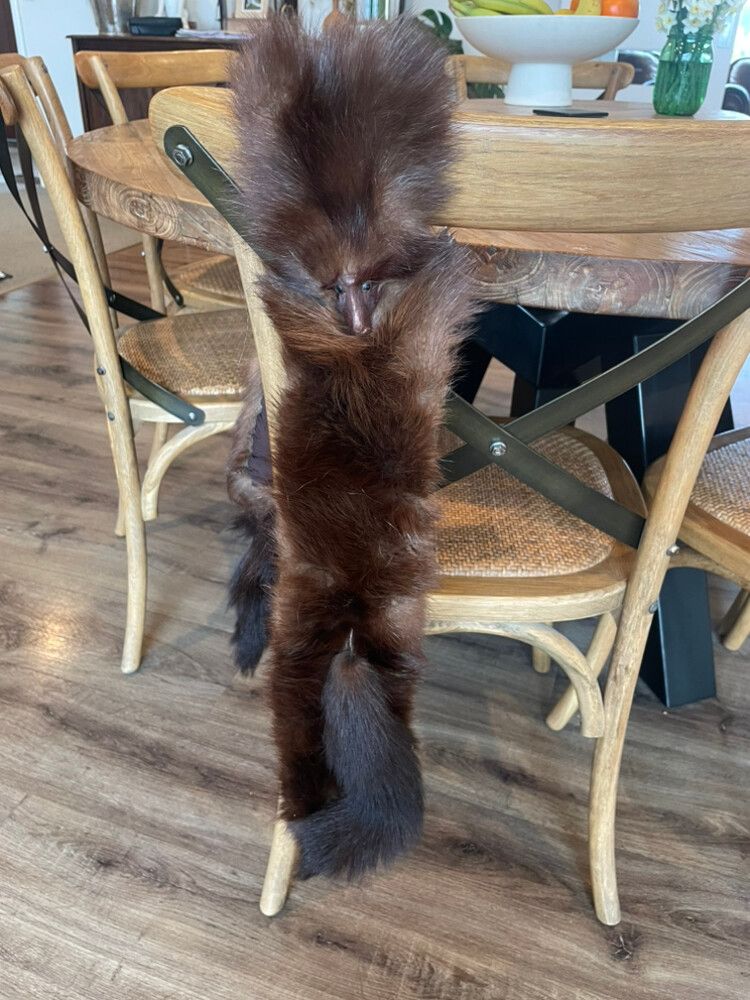 Genuine Mink Stole -art Deco - Vintage