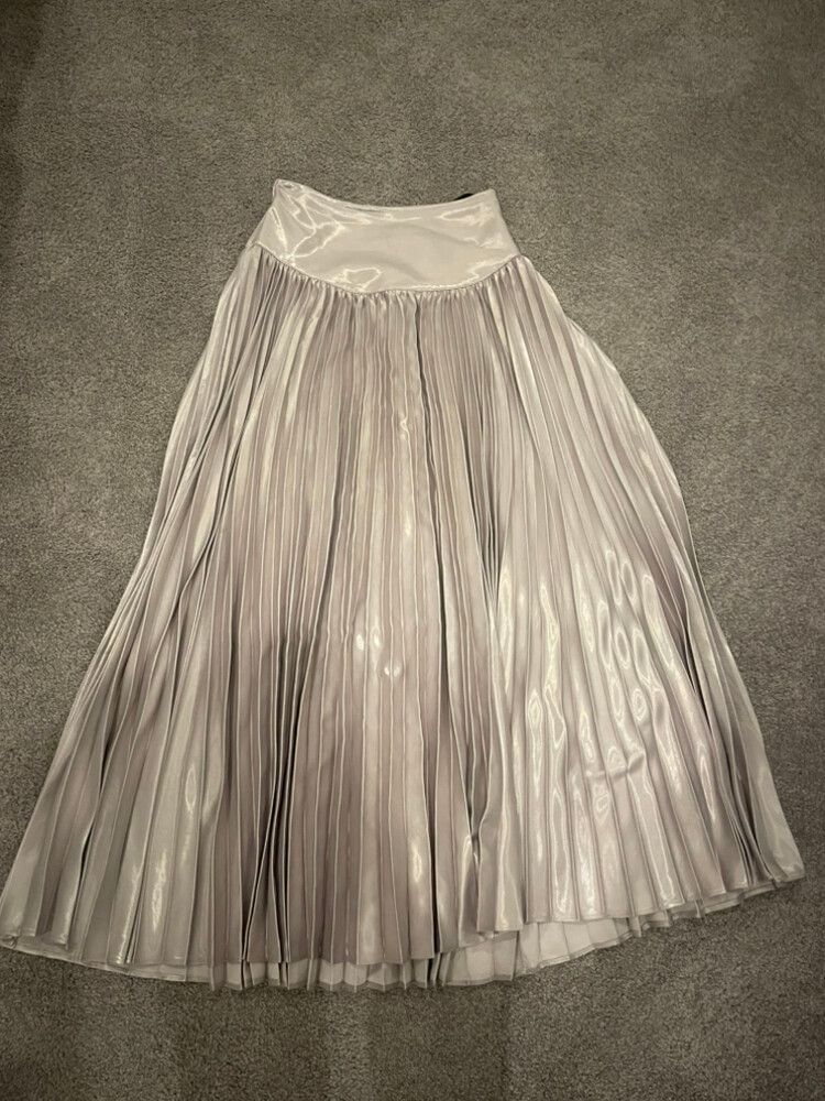 Pleated Silver Skirt