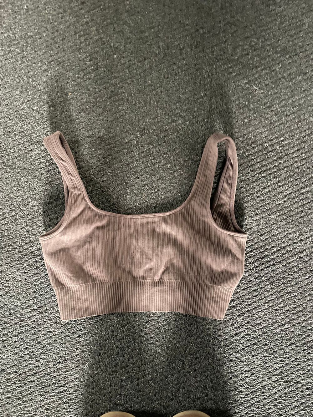 Aimn Sports Bra