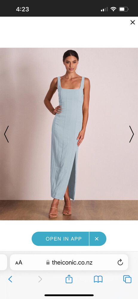 Pasduchas Dress