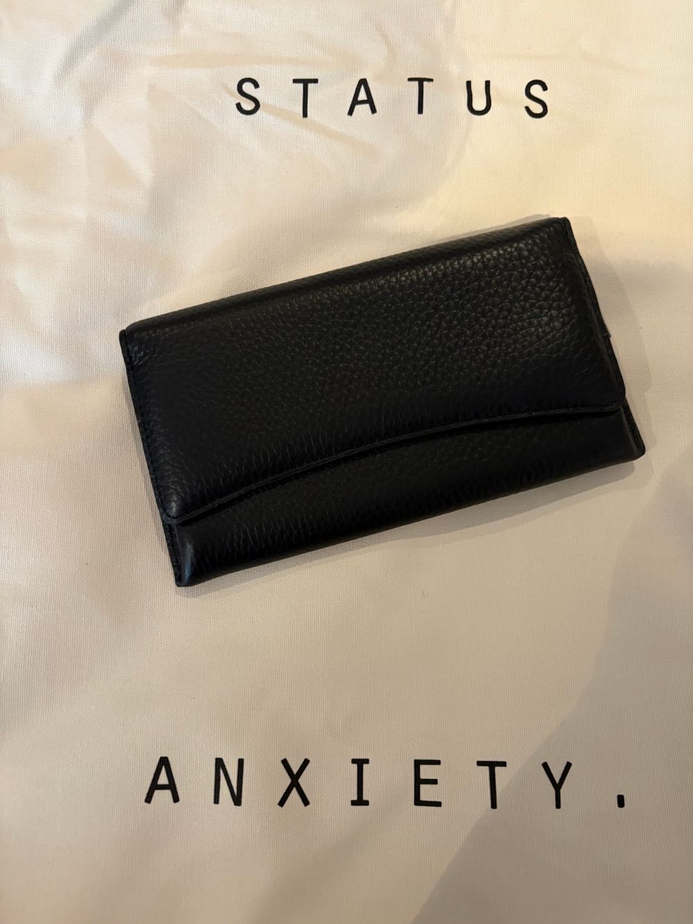 Status Anxiety Sunnies Case