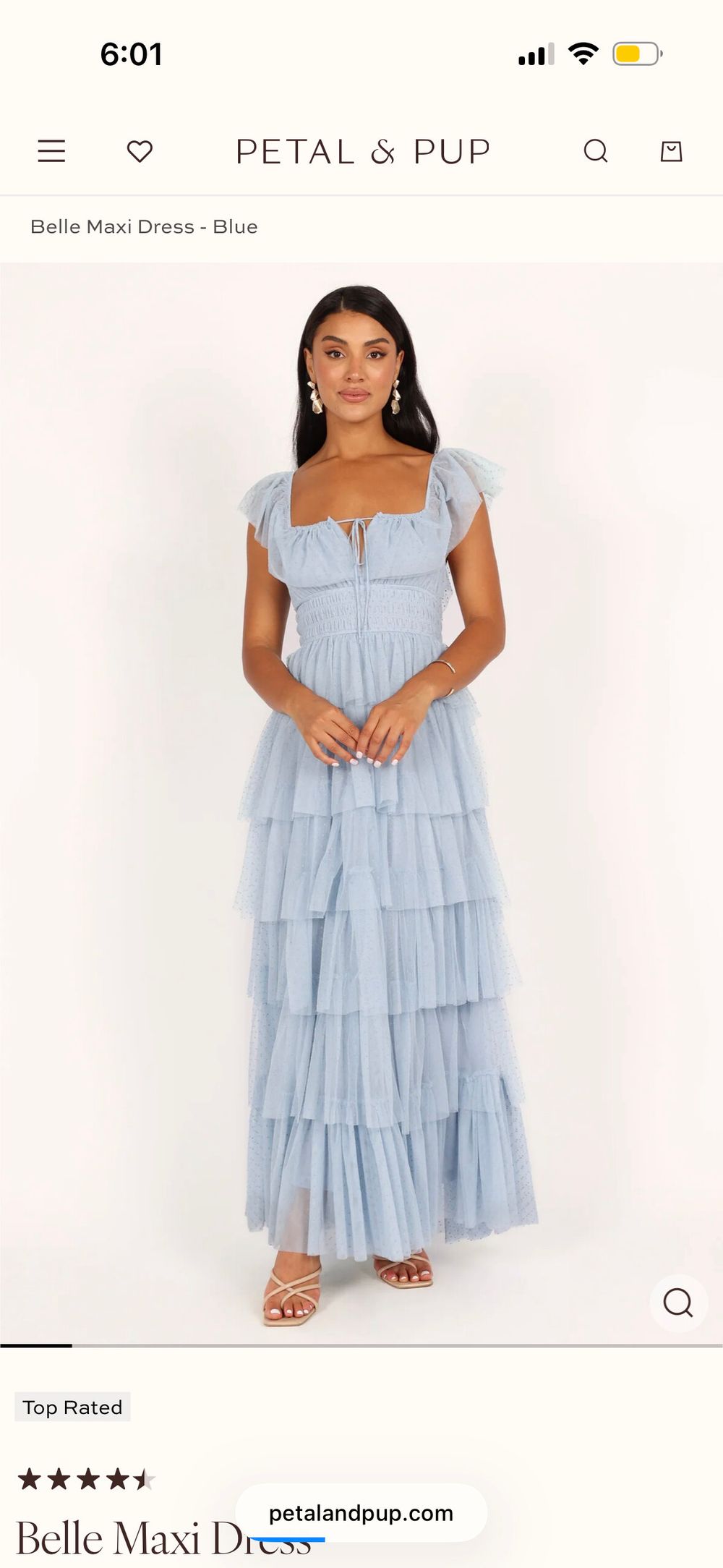 petal and pup blue ruffle dress & Belle maxi