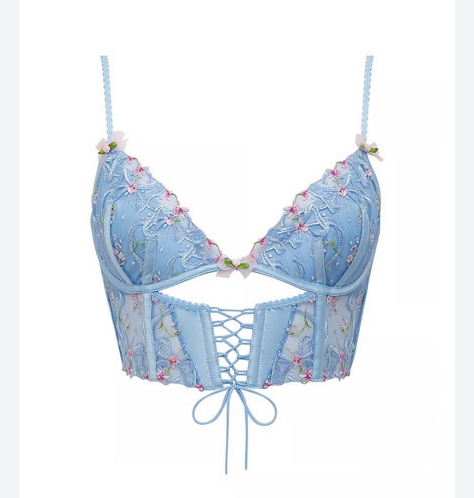 For Love & Lemons Bell Bow Blue Corset