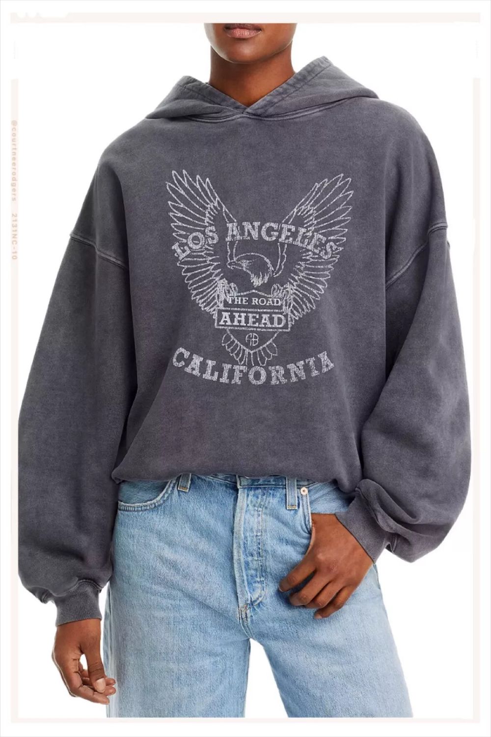 Annie Bing hoodie