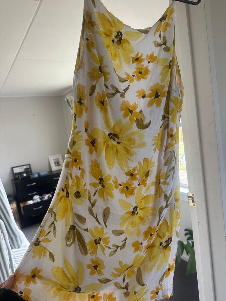 Bec and bridge dress
