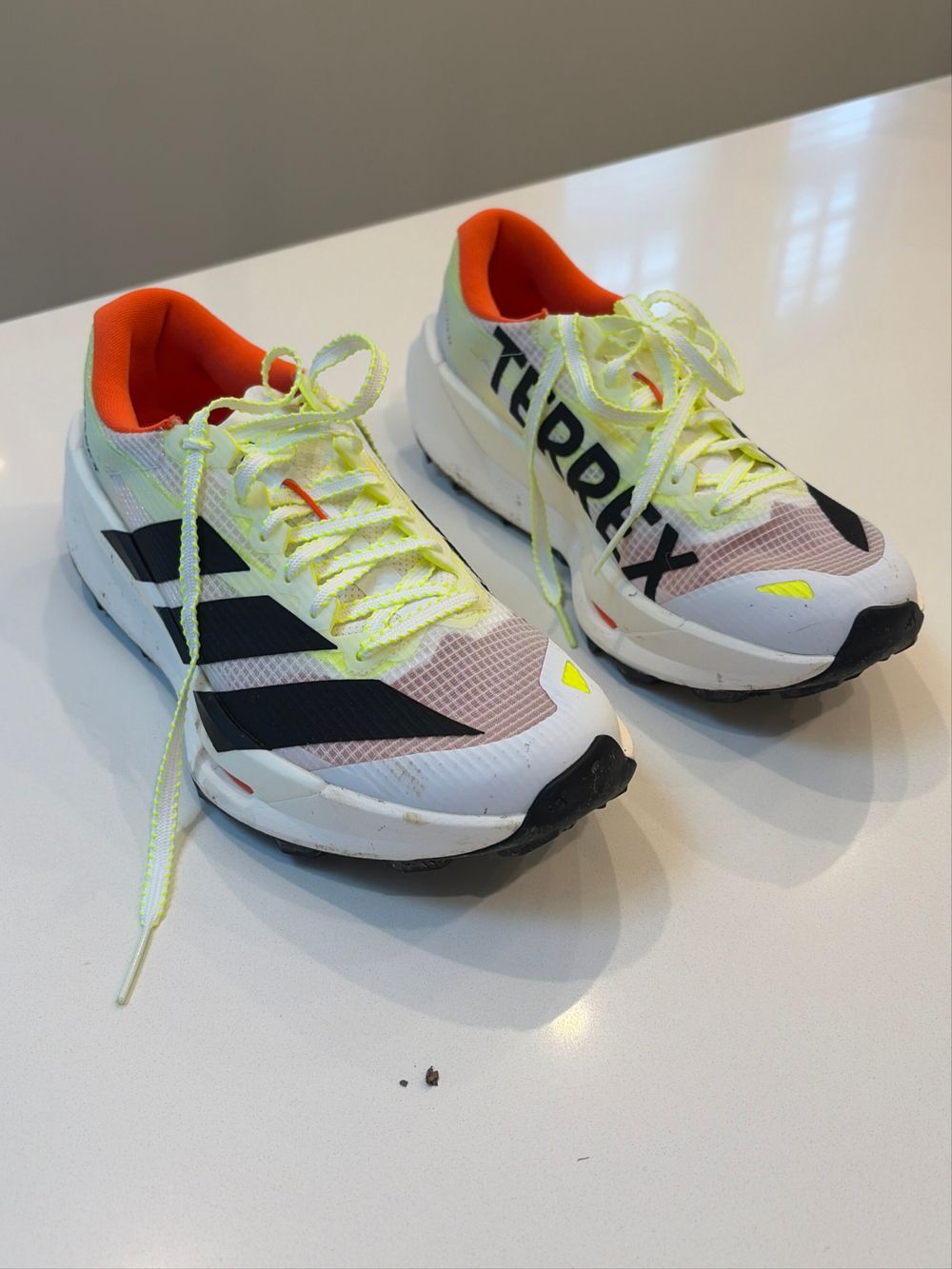 Adidas Terrex Agravic TT trail shoes