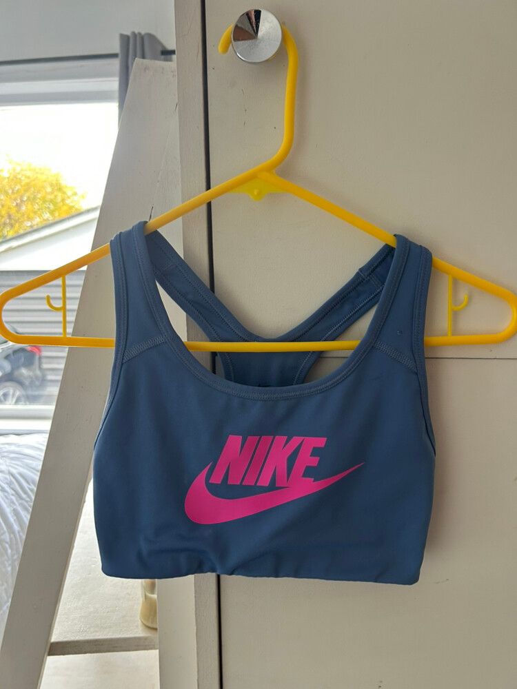 Nike Blue Pink Sports Bra