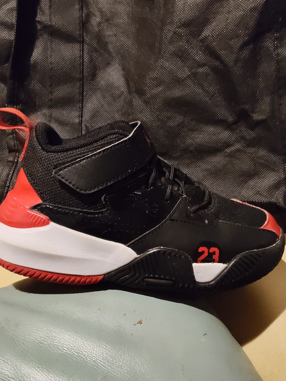 Jordan Stay Loyal 2 "Bred"