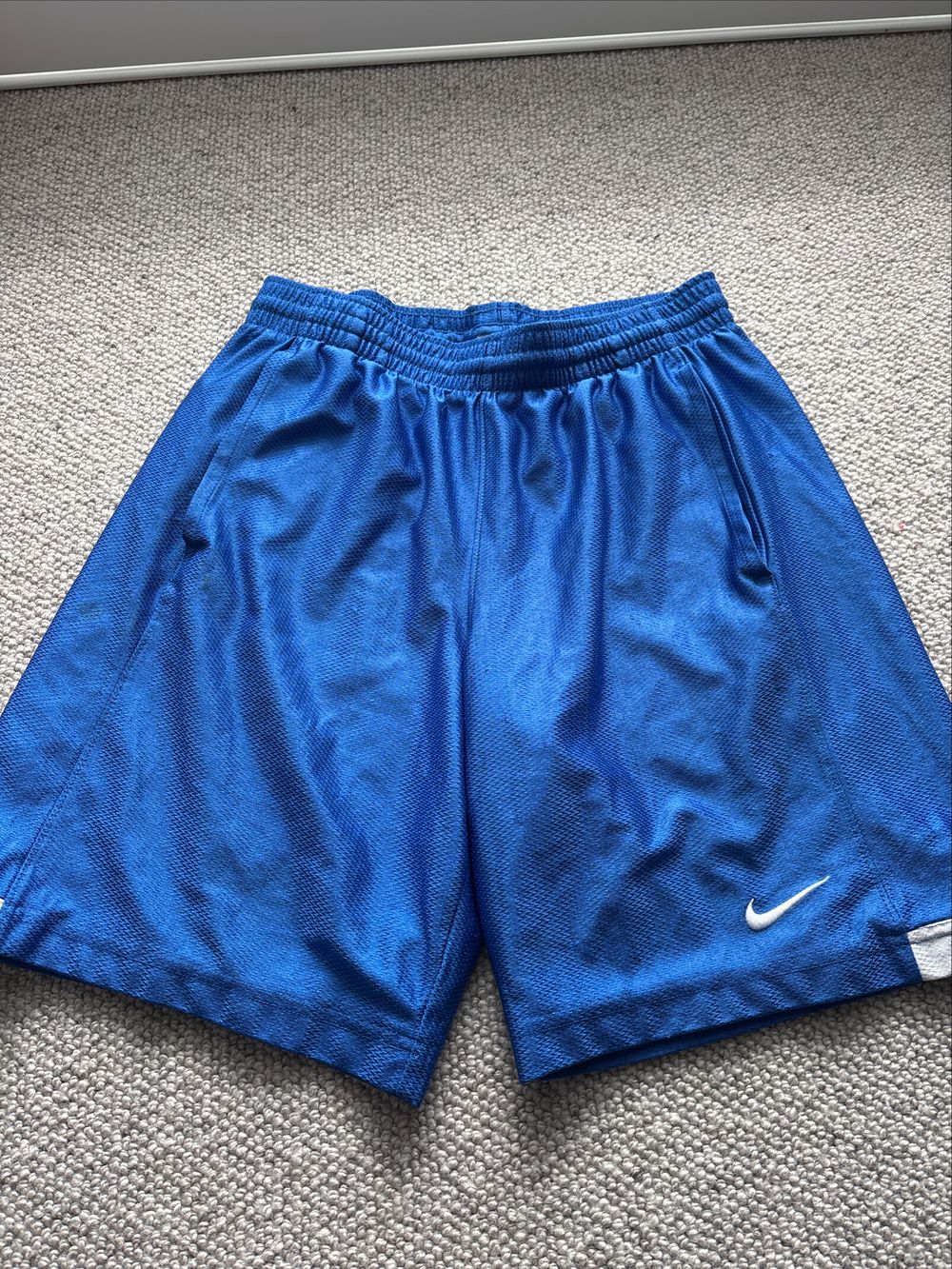 Nike Blue Shorts
