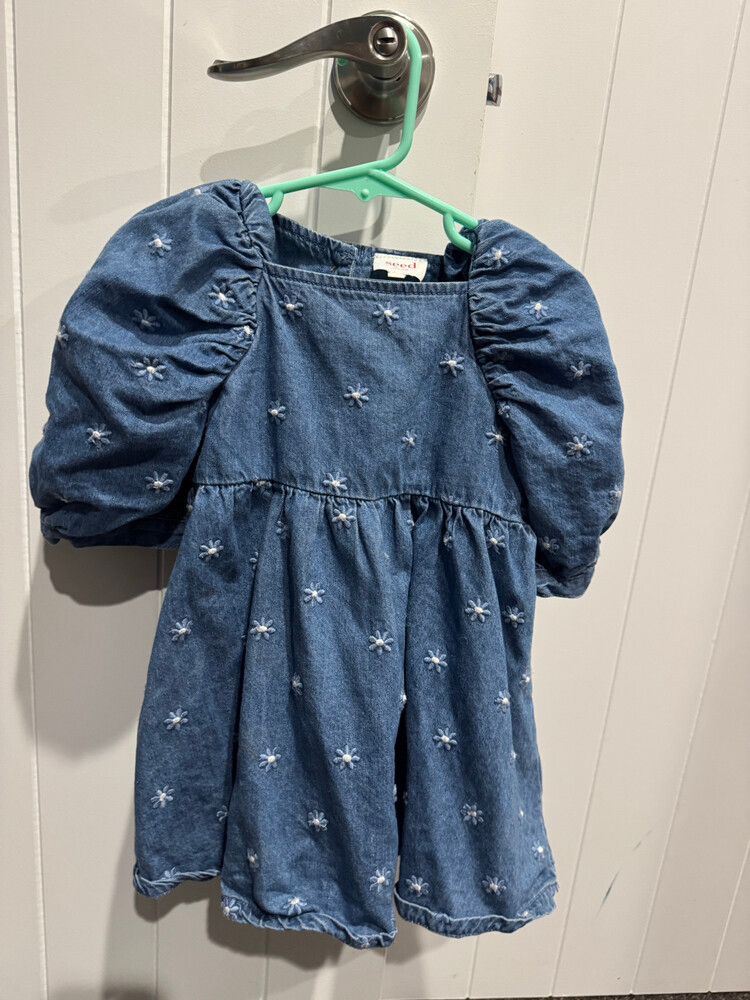 Jean Dress From Seed
