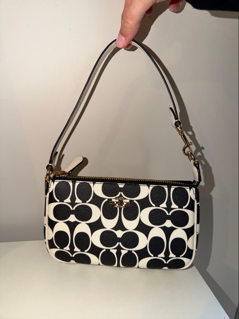 Coach Nolita 19 in Signature Canvas