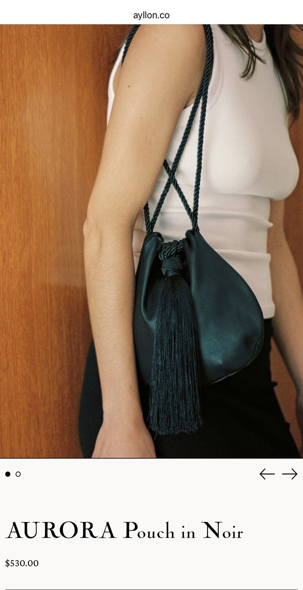 Ayllon Aurora pouch brand new