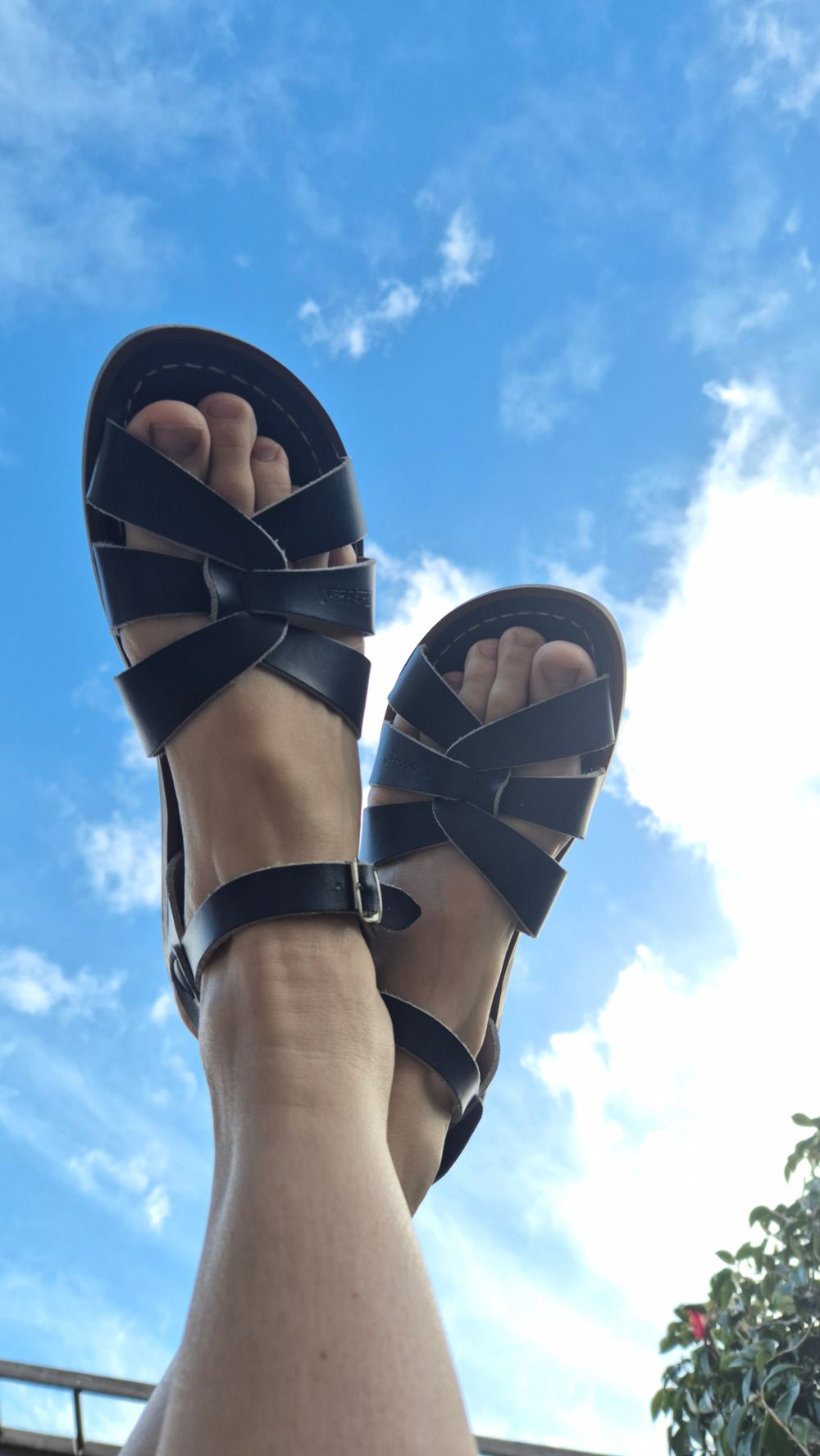 SaltWater Sandals
