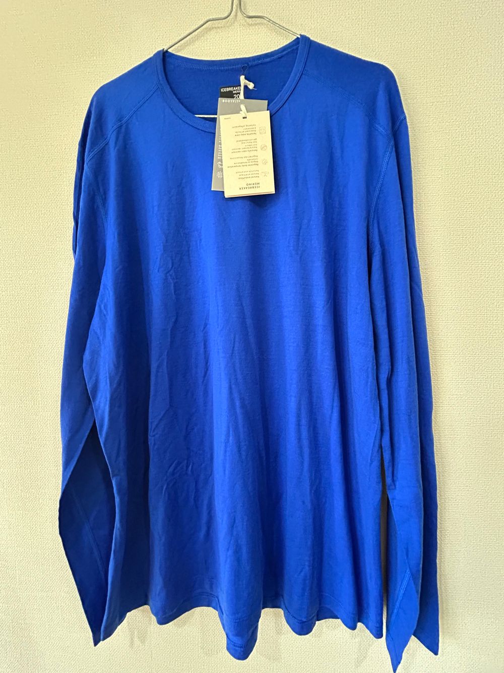 Icebreaker Men's 200 Oasis Merino Wool Long Sleeve Crew Base Layer Top