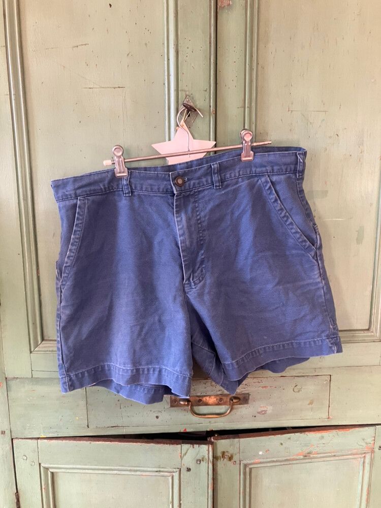 Patagonia Blue Shorts