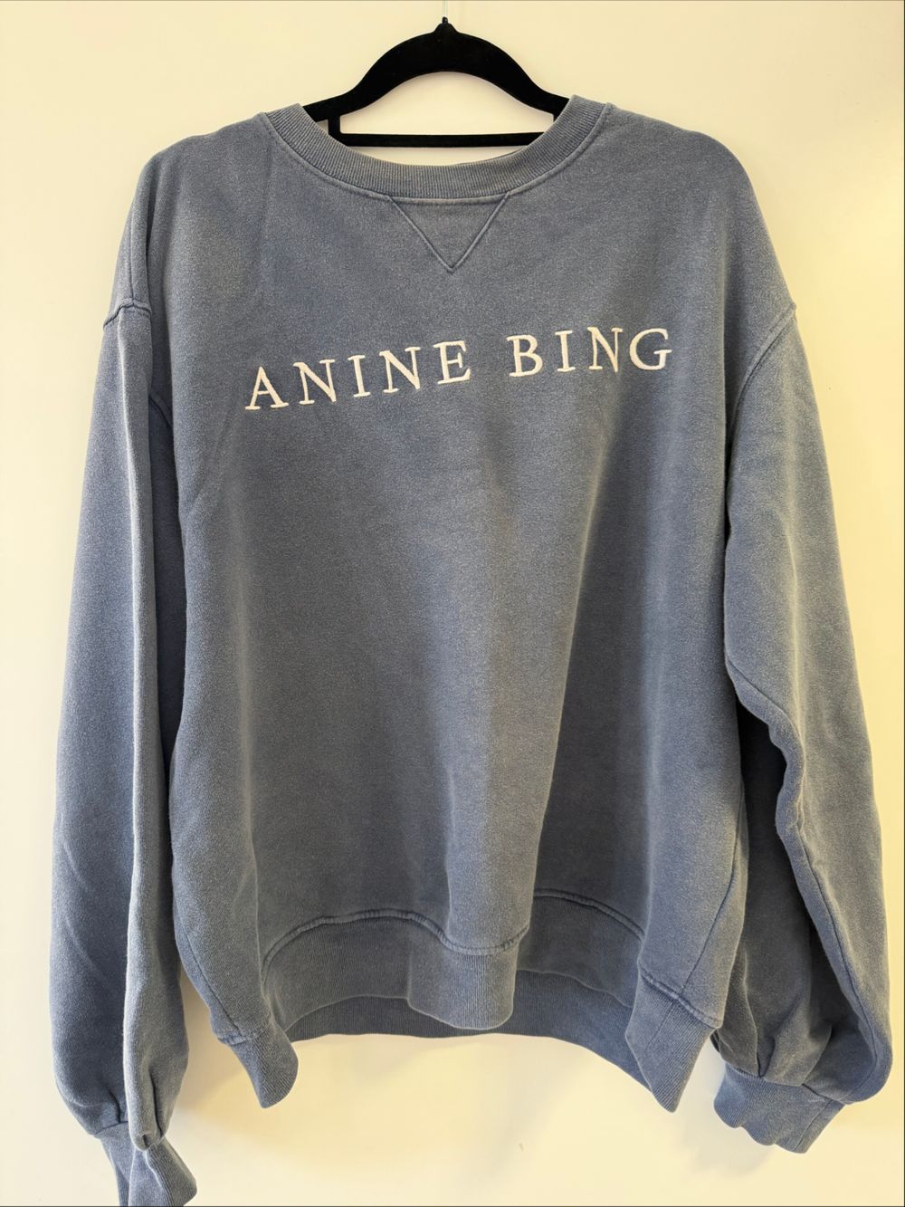 Anine Bing Blue Sweatshirt